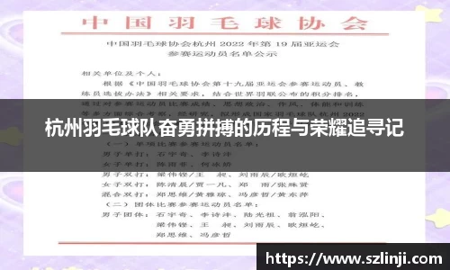杭州羽毛球队奋勇拼搏的历程与荣耀追寻记