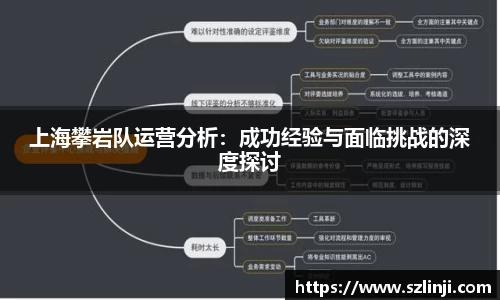 上海攀岩队运营分析：成功经验与面临挑战的深度探讨
