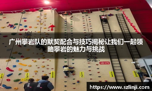 乐鱼网站