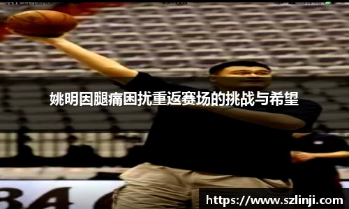乐鱼