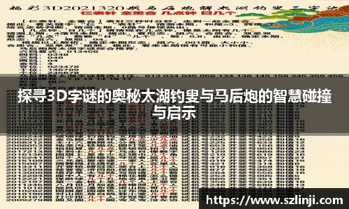 探寻3D字谜的奥秘太湖钓叟与马后炮的智慧碰撞与启示
